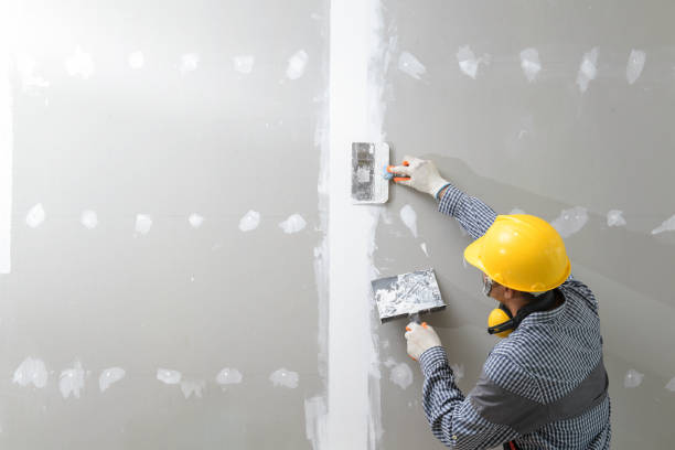 Best Water-Damaged Drywall Repair  in Roanoke, VA